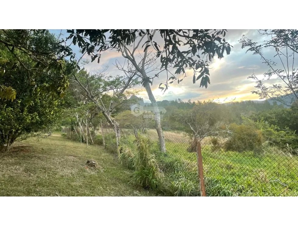 LAND FOR SALE IN CHAME SORA 13.9 HECTARES COOL CLIMATE