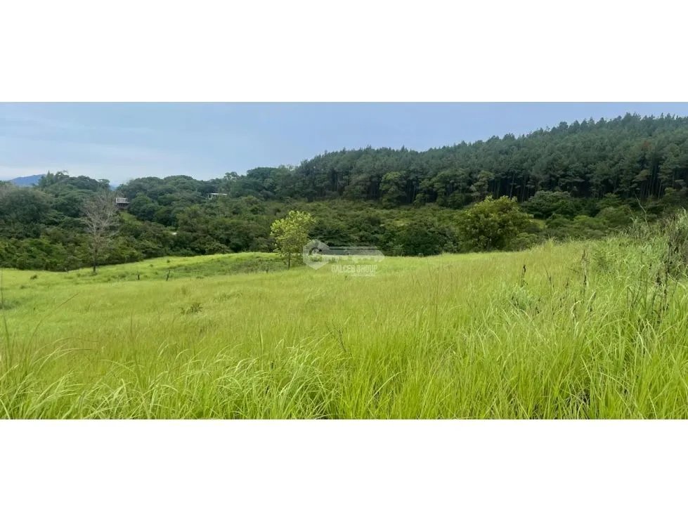 LAND FOR SALE IN CHAME SORA 13.9 HECTARES COOL CLIMATE