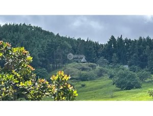 LAND FOR SALE IN CHAME SORA 13.9 HECTARES COOL CLIMATE