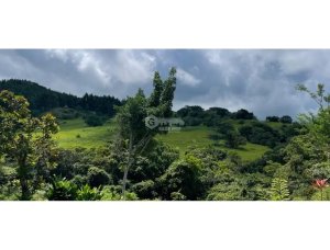 CHAME / SORA / 13.9 HECTARES / FARM / PAVED ROAD / COOL CLIMATE