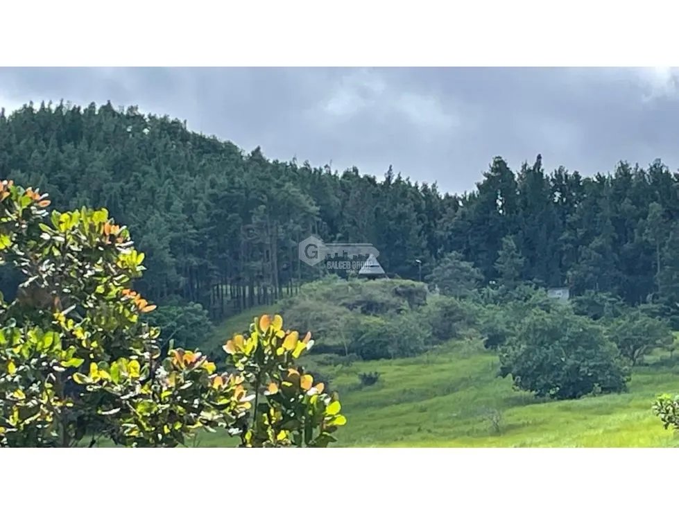 CHAME / SORA / 13.9 HECTARES / FARM / PAVED ROAD / COOL CLIMATE