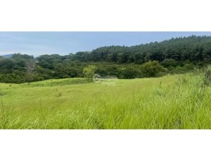 CHAME / SORA / 13.9 HECTAREAS / FINCA / VIA ASFALTADA / CLIM…