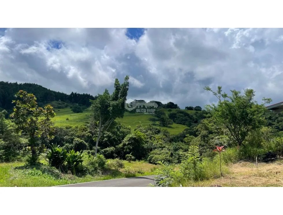 CHAME / SORA / 13.9 HECTARES / FARM / PAVED ROAD / COOL CLIMATE