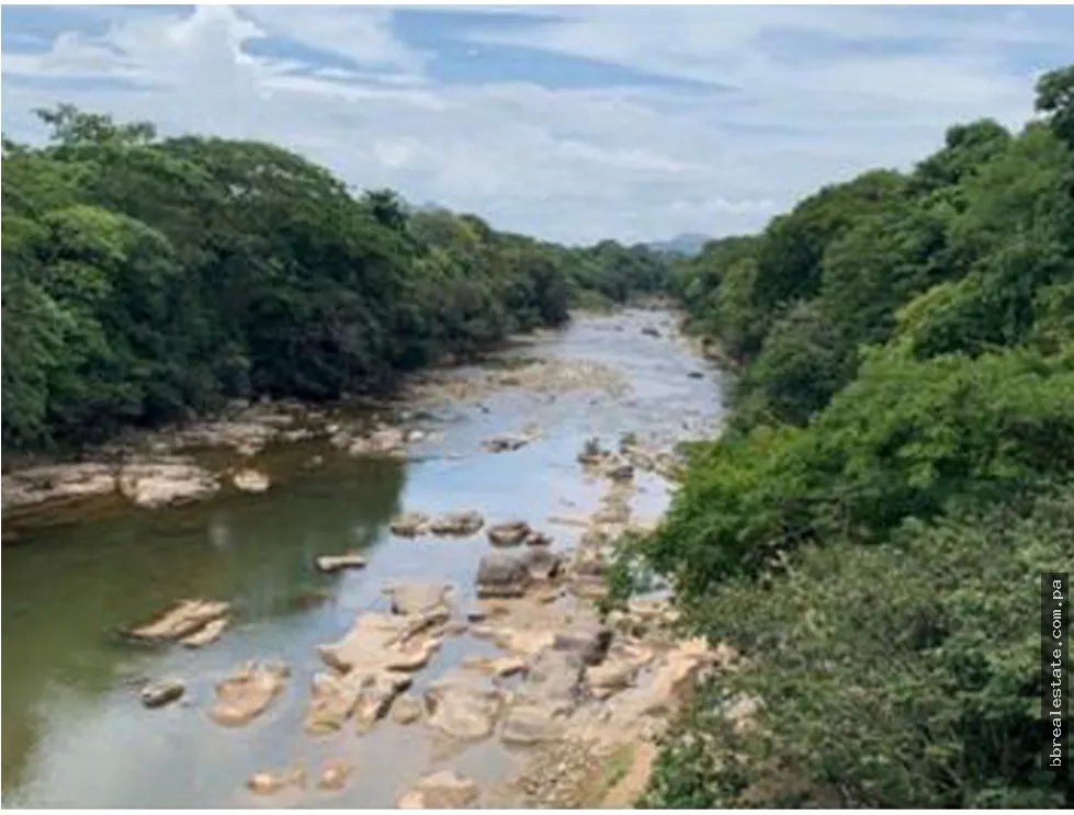 Se vende Finca en Rio Grande, Penonome