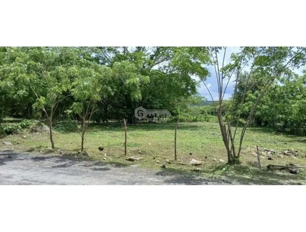 LAND / GORGONA / PLAYA MALIBU / 1000 M2 / FLAT / COOL CLIMATE