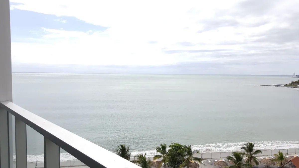 ROYAL PALM