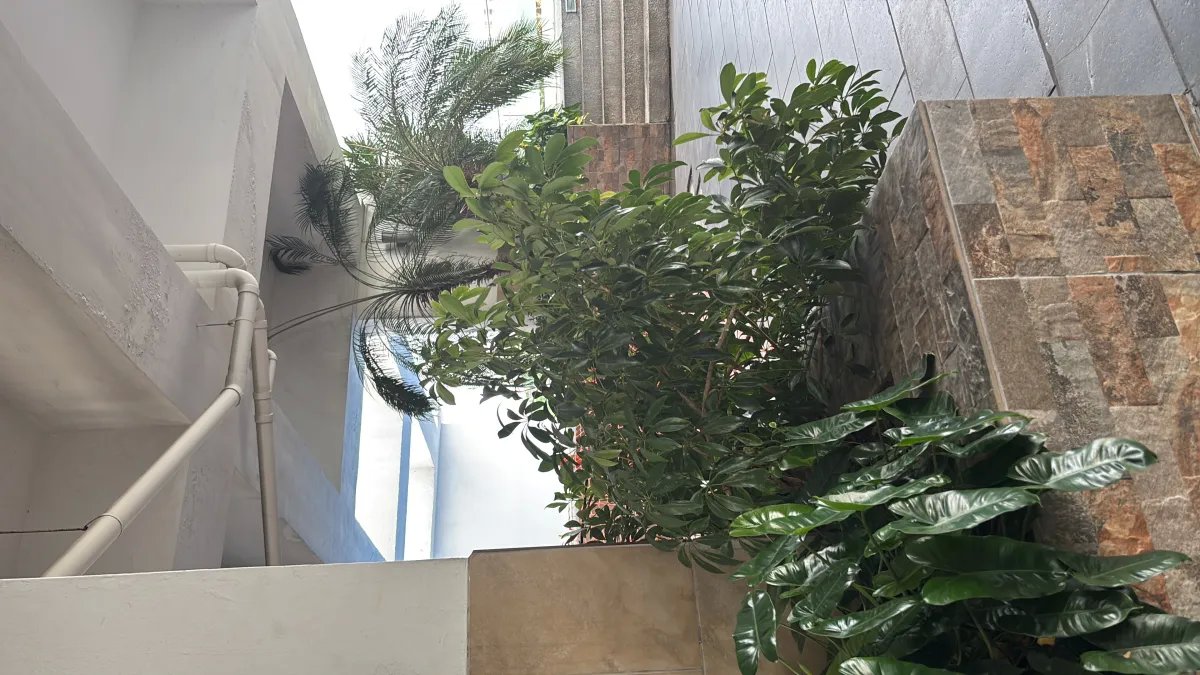 Apartment Rental in Fernandez de Cordoba