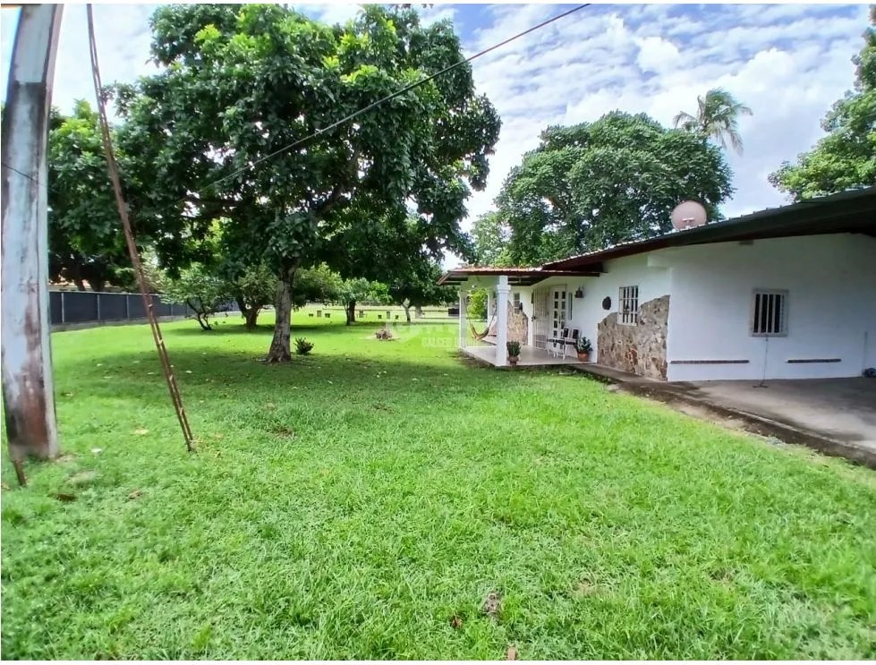 TERRENO / PENONOME / 4,718M / 2 CASAS / COMERCIAL / VIA PRINCIPAL