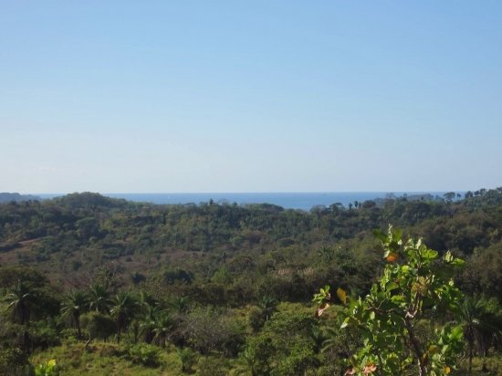 Vista espectacular: 2 hectareas con vista al mar en Boca Chica