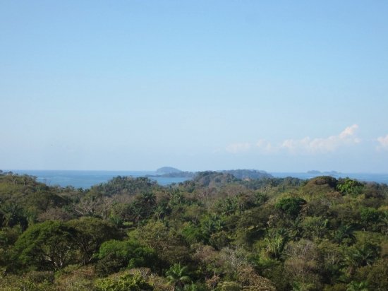 Views, views, views: 2 hectares ocean view in Boca Chica