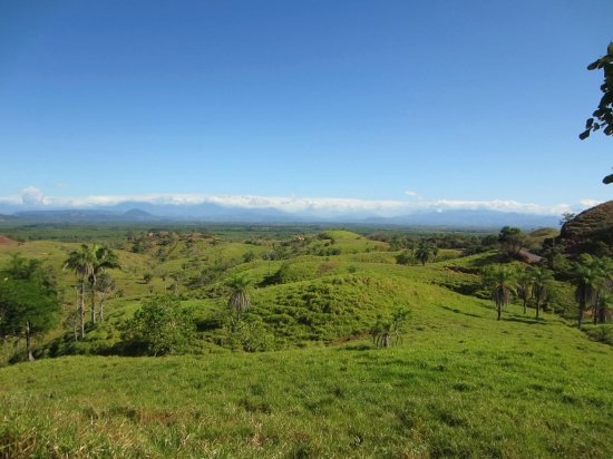 Views, views, views: 2 hectares ocean view in Boca Chica