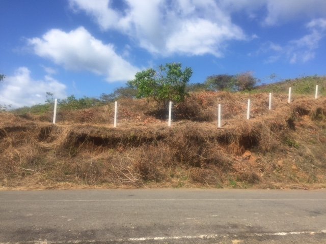 Views, views, views: 2 hectares ocean view in Boca Chica