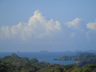 Views, views, views: 2 hectares ocean view in Boca Chica