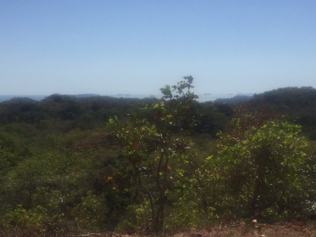 Views, views, views: 2 hectares ocean view in Boca Chica