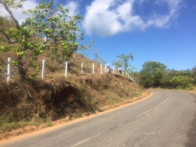 Views, views, views: 2 hectares ocean view in Boca Chica