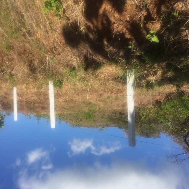 Views, views, views: 2 hectares ocean view in Boca Chica