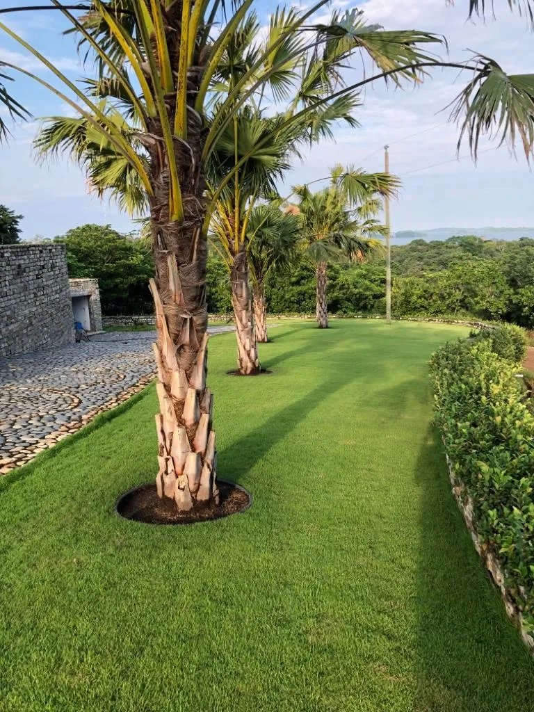 Exclusive house with 360-degree views