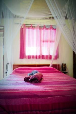 Profitable and established restaurant and B&B in Las Lajas