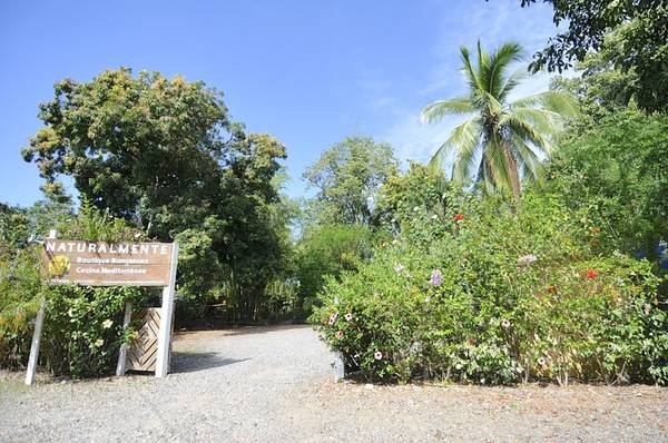Profitable and established restaurant and B&B in Las Lajas