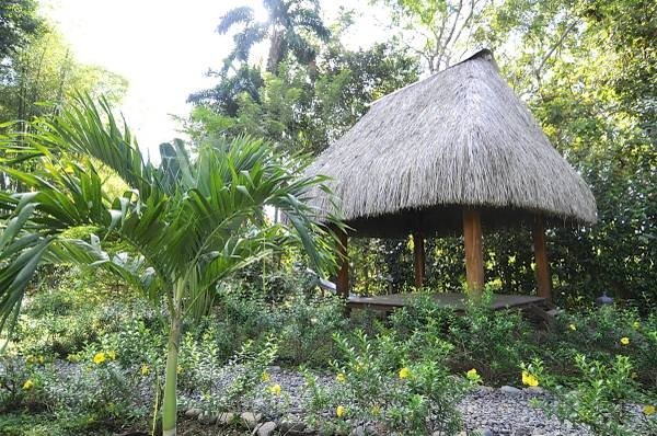 Profitable and established restaurant and B&B in Las Lajas