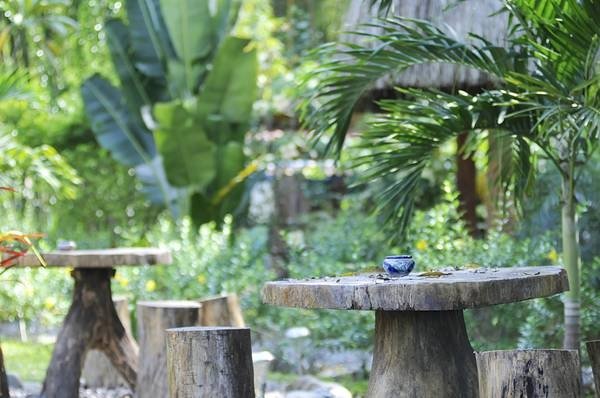 Profitable and established restaurant and B&B in Las Lajas