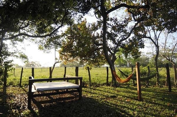 Profitable and established restaurant and B&B in Las Lajas
