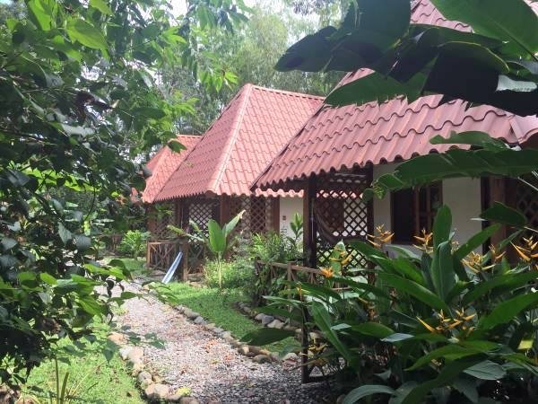 Profitable and established restaurant and B&B in Las Lajas