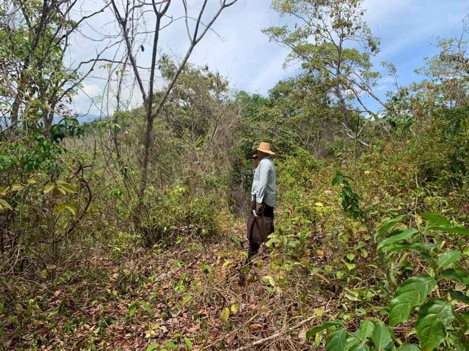 Se Vende 347 Hectareas Frente a Playa en Cerro Hoya Cerca de Cambutal,...
