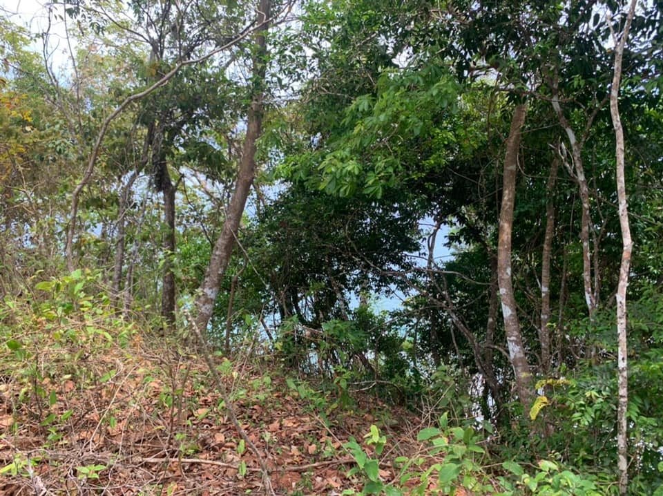 Beach Front 347 Hectares For Sale In Cerro Hoya near Cambutal, Panama