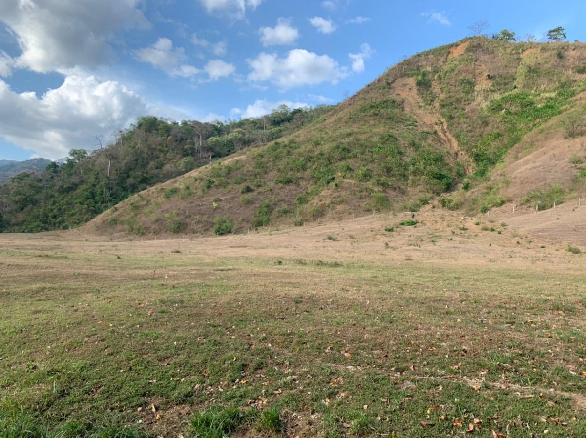 Beach Front 347 Hectares For Sale In Cerro Hoya near Cambutal, Panama