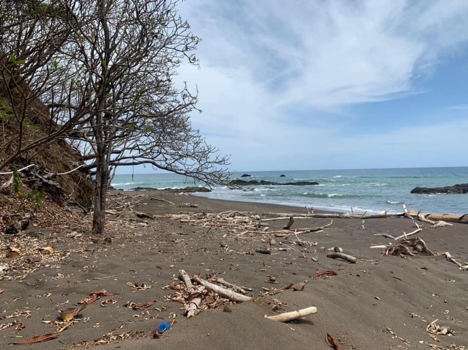 Beach Front 347 Hectares For Sale In Cerro Hoya near Cambutal, Panama