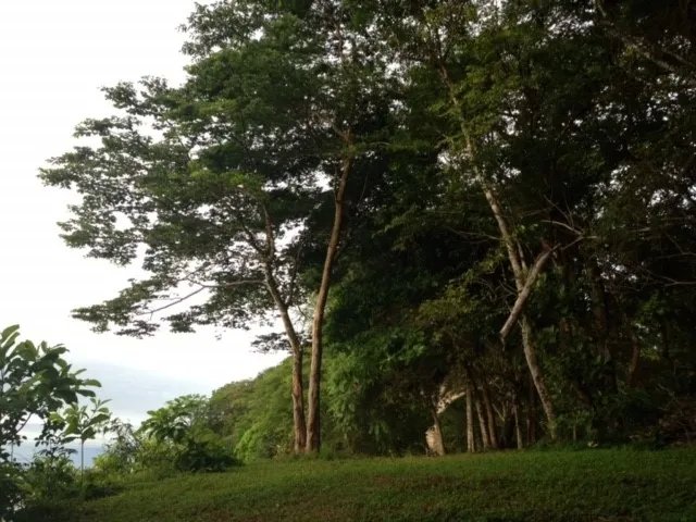 Lote de Casa en Venta en Boca Chica