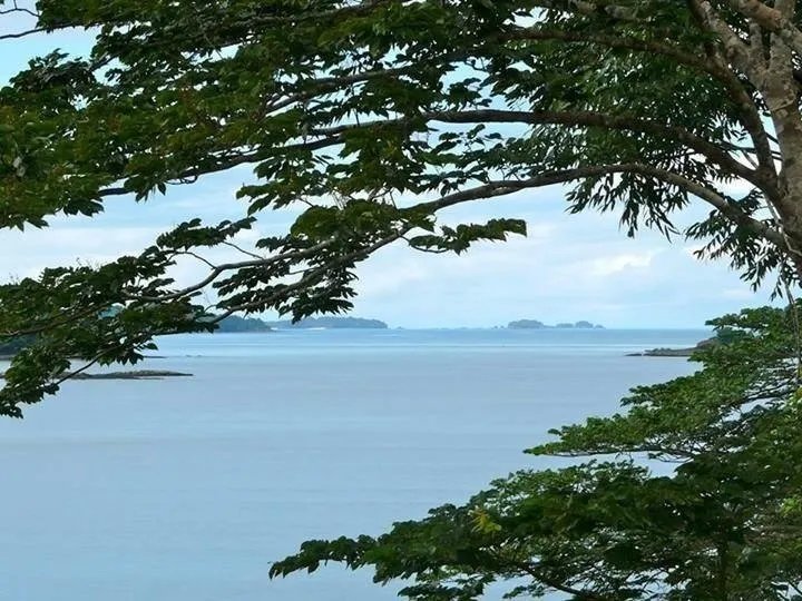 Lote de Casa en Venta en Boca Chica