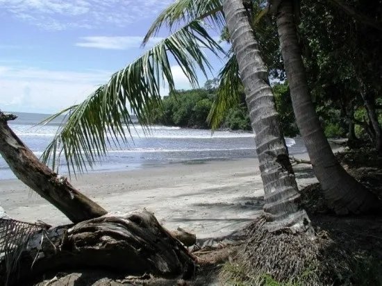 Lote de Casa en Venta en Boca Chica