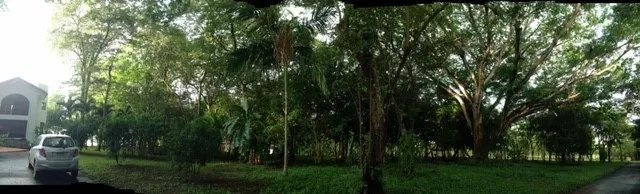 Lote de Casa en Venta en Boca Chica