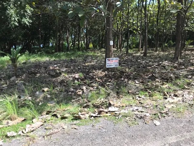 Lote de Casa en Venta en Boca Chica