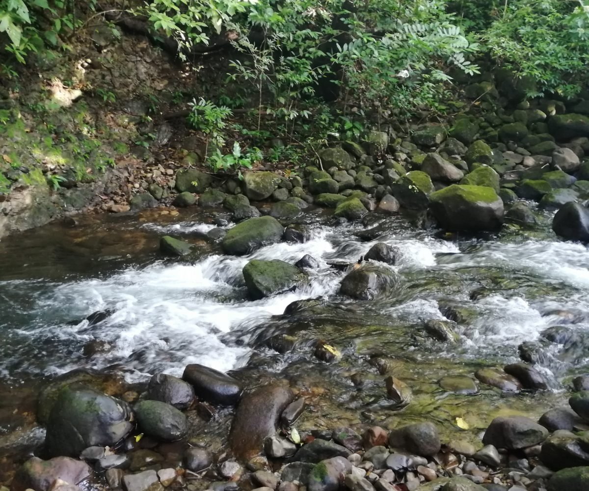 Gran casa de río y cabaña en 2 hectáreas cerca de Dolega en alquiler