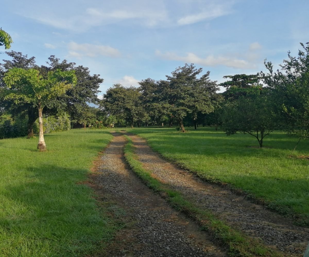 Gran casa de río y cabaña en 2 hectáreas cerca de Dolega en alquiler