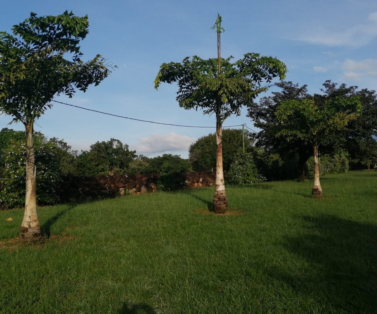 Gran casa de río y cabaña en 2 hectáreas cerca de Dolega en alquiler