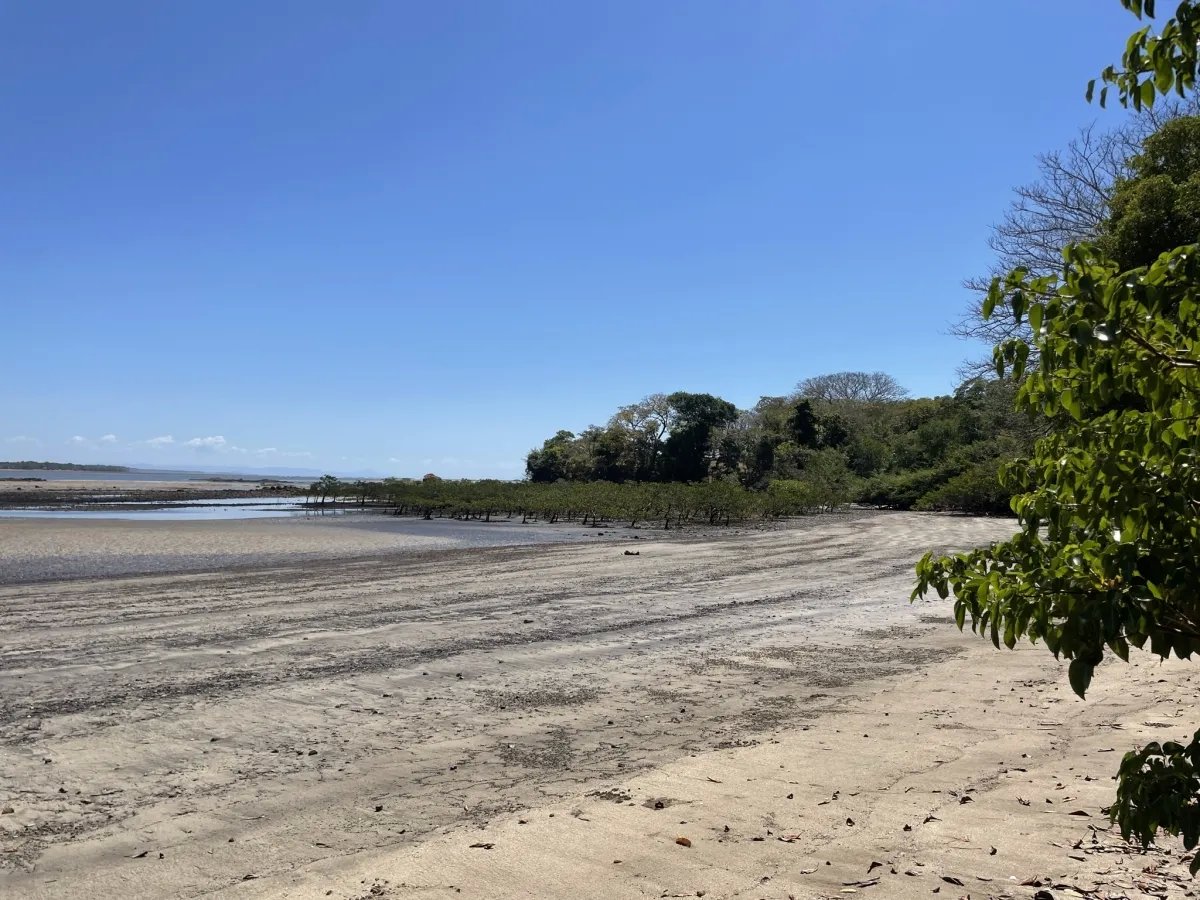 Lote de Casa en Venta en Boca Chica