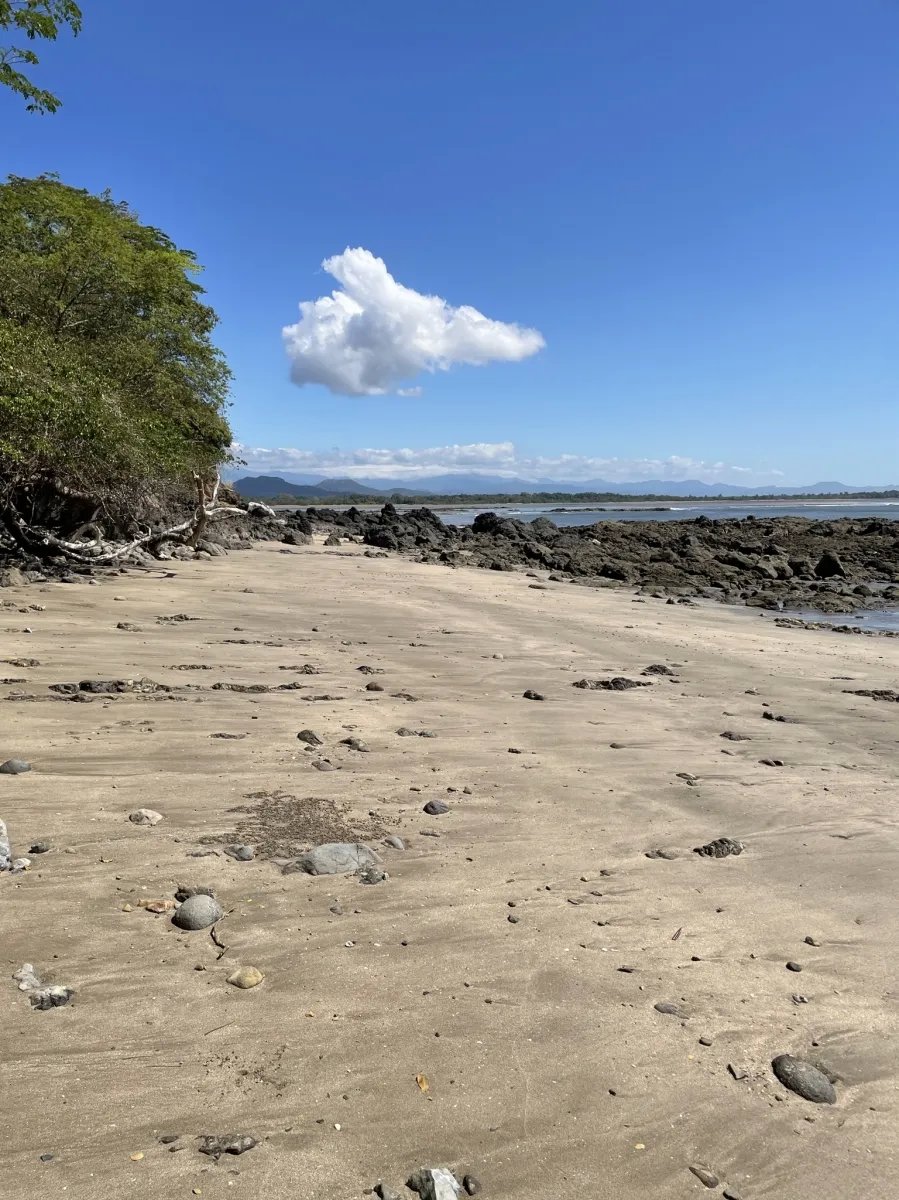 Lote de Casa en Venta en Boca Chica