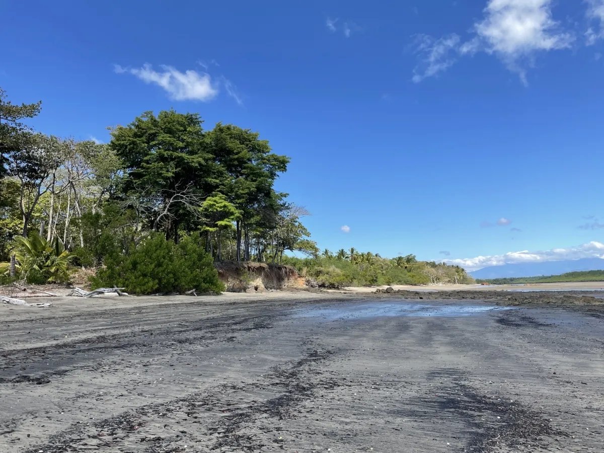 Lote de Casa en Venta en Boca Chica