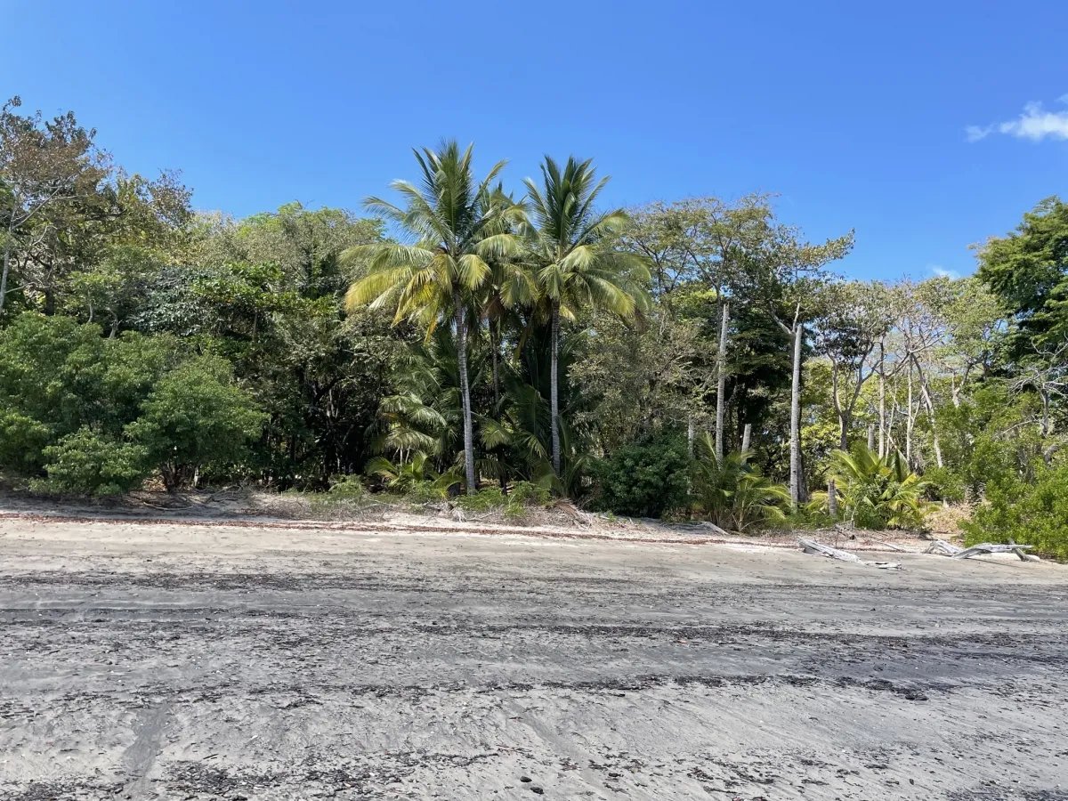 Lote de Casa en Venta en Boca Chica