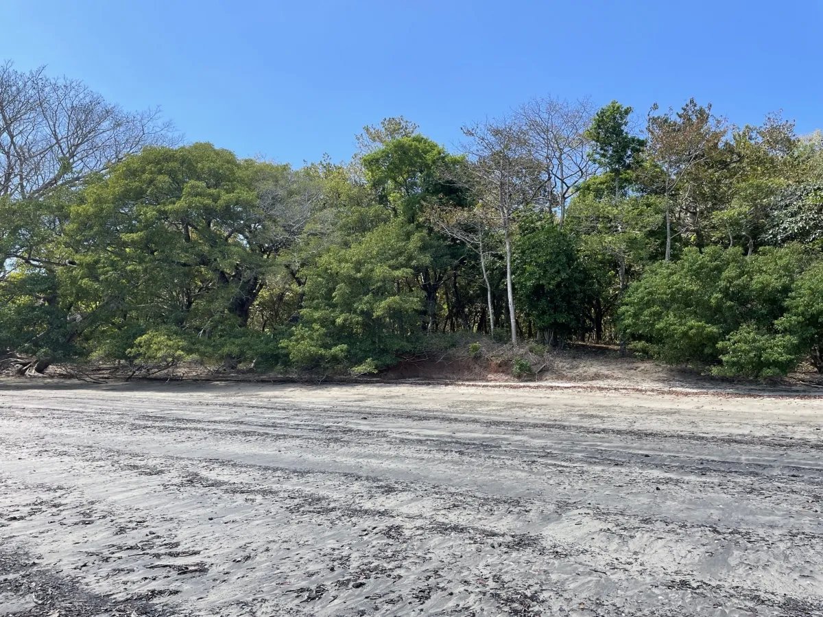 Lote de Casa en Venta en Boca Chica