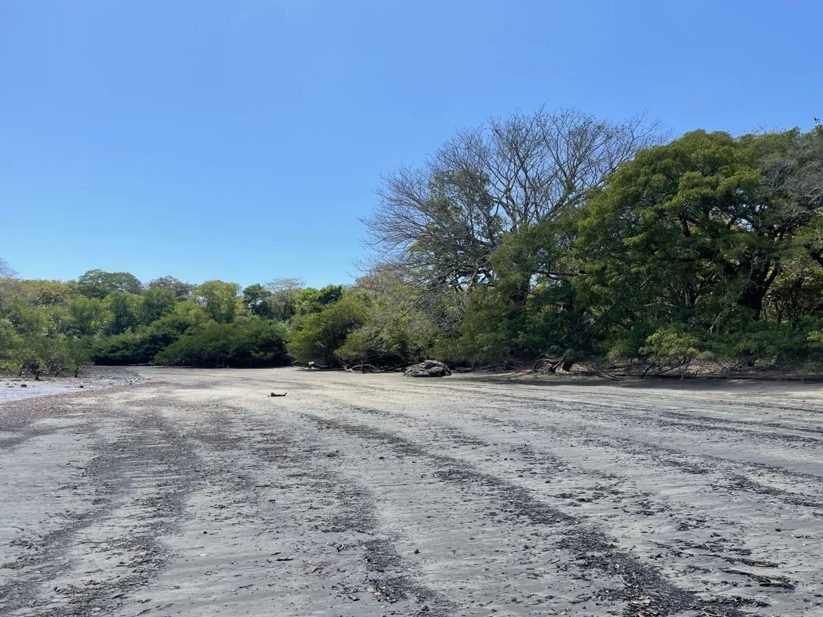 Lote de Casa en Venta en Boca Chica