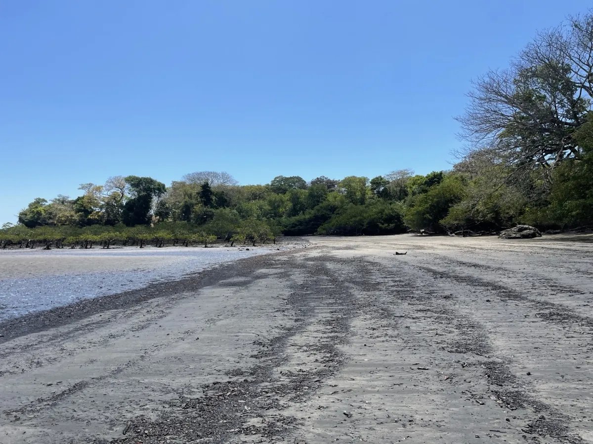Lote de Casa en Venta en Boca Chica