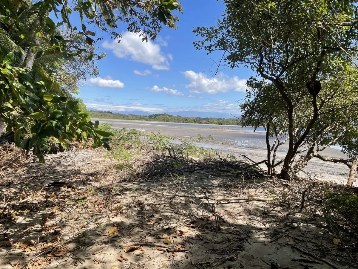 Lote de Casa en Venta en Boca Chica
