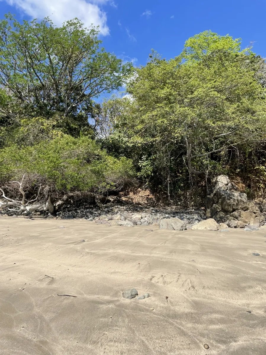 Lote de Casa en Venta en Boca Chica