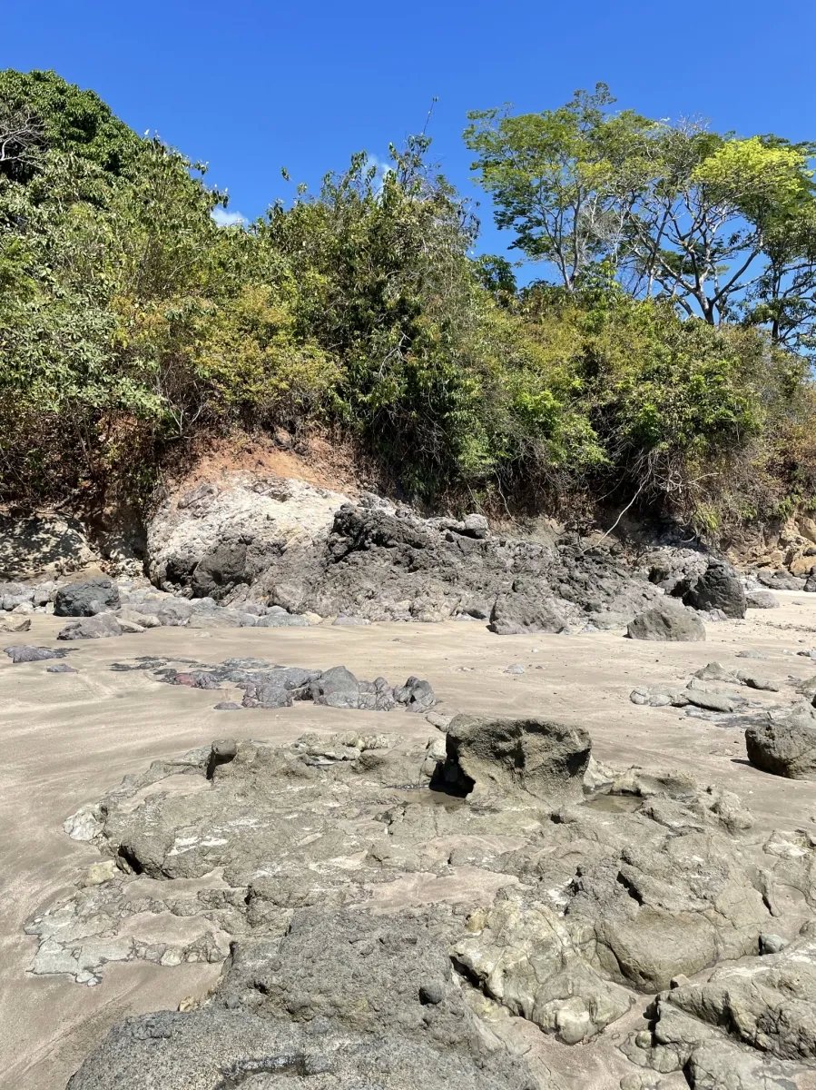 Lote de Casa en Venta en Boca Chica