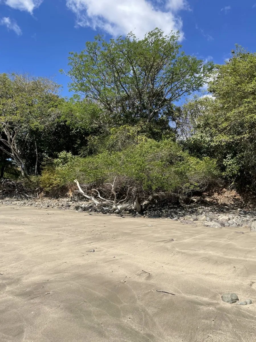 Lote de Casa en Venta en Boca Chica